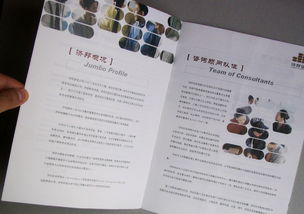 專業商務咨詢與投資管理畫冊設計服務